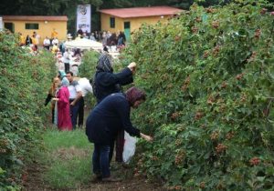 یک روز در مزرعه، یک عمر خاطره