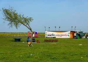 اشتغال بهایی برای استحلال پتروشیمی میانکاله یا انفعال محیط زیست