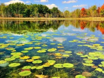 زندگی با تالاب