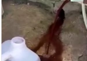 گلایه شهروندان با پیگیری تیرنگ به گوش مسئولان رسید