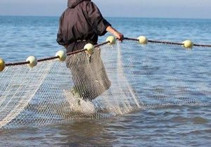 تورهایی که زندگی می‌بافند