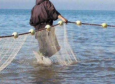 تورهایی که زندگی می‌بافند