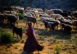 تغییر‌ همیشه‌ خوب‌ نیست! / قسمت سوم