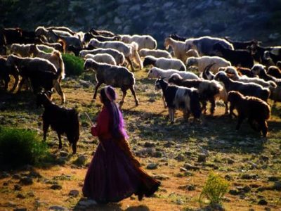 تغییر‌ همیشه‌ خوب‌ نیست! / قسمت سوم