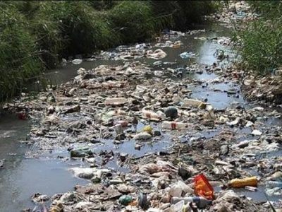 محیط زیست سرمایه‌ای برای آینده است