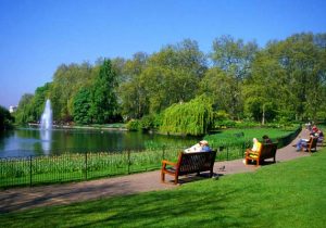 نفس تازه در دل شهرها