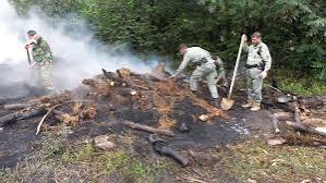 مشت محکم قانون، شعله‌های زغال غیرمجاز را خاموش کرد