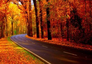 رقص برگ در خزان