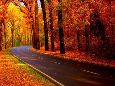 رقص برگ در خزان