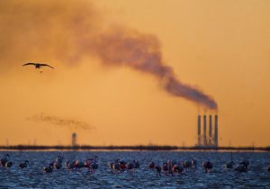 مازندران نفس کم آورد