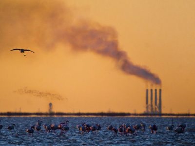 مازندران نفس کم آورد