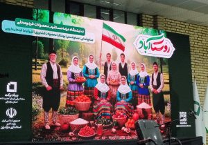 سیاستهای «حمایت از ازدواج» را پرشورتر از گذشته دنبال میکنیم