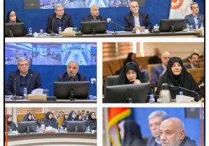 رحمانی: برنامه‌های محله‌محور و اجتماعی‌سازی خدمات در اولویت کاری ماست