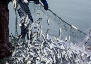 تورها خالی بر نمیگردند