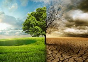 بحران تغییر اقلیمی به مازندران رسید