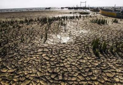 میانکاله از پای درآمد!