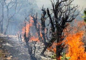 هیرکان زخمی؛ نوای هزاران ساله‌ای که در رقص مرگ خاموش می‌شود؟!