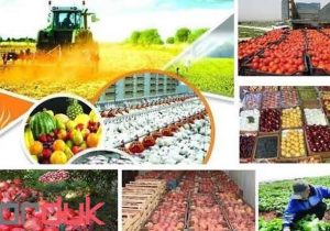 فصل شکوفایی