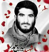 دلشدگان؛«نمی‌دانم چرا، ولی دلم گفت همین»