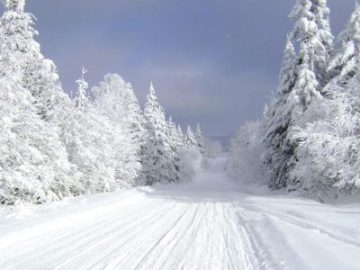 گردشگری زمستانه؛ فرصتی مغفول برای رونق اقتصاد