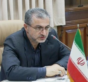 منتظر تصمیم ورزات کشور هستیم / مجمع نمایندگان نقش مشورتی دارد