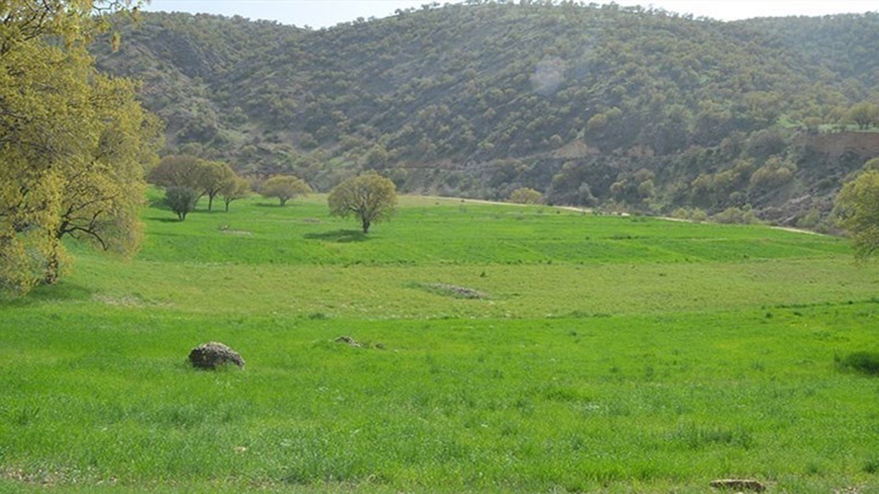 تو دهنی به زمین خواران در بهشهر