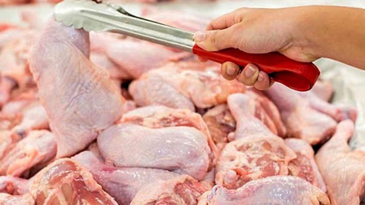 عرضه مرغ قطعه شده ممنوع !