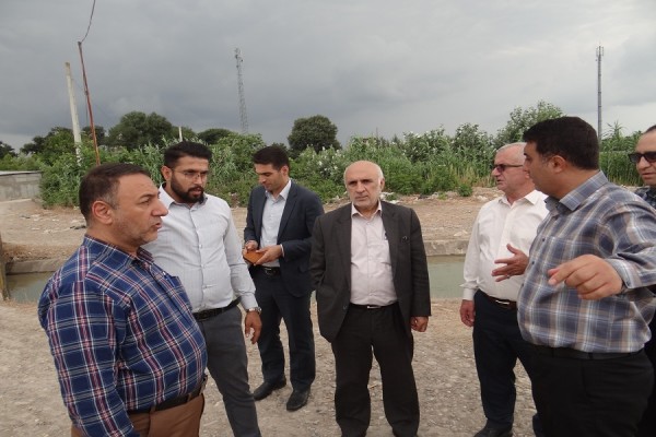 کشاورزان دشت تجن کشت کم آببر را جدی بگیرند