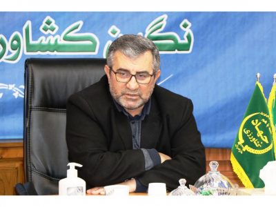 از خرید 50 هزارتن برنج پرمحصول تا صادرات هوایی مرکبات مازندران
