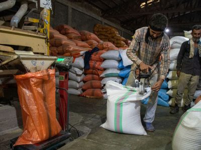 دولت مفت‌تر از دلال می‌خرد| بازار گرمی دستوری برنج