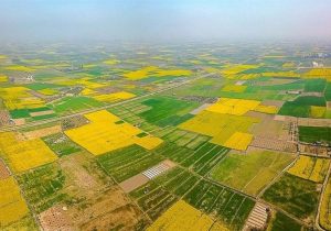 انهدام باند بزرگ خانوادگی کلاهبرداری املاک در مازندران/ 10 نفر در قائم‌شهر بازداشت شدند