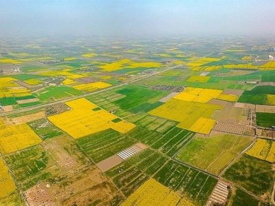 انهدام باند بزرگ خانوادگی کلاهبرداری املاک در مازندران/ 10 نفر در قائم‌شهر بازداشت شدند