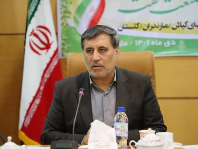 فرهنگ‌سازی رعایت الگوی مصرف اولویت شرکت گاز مازندران