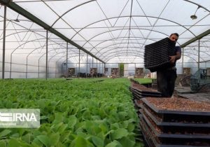 گام‌های استوار دولت برای ارتقای بهره‌وری در مازندران