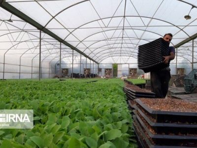 گام‌های استوار دولت برای ارتقای بهره‌وری در مازندران