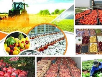 برچیده شدن نظام ارباب رعیتی تا تبدیل مازندران به قطب تولید محصولات کشاورز