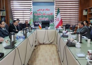 تولید 3 میلیون اصله نهال از ابتدای سال تا کنون در نهالستانهای اداره کل