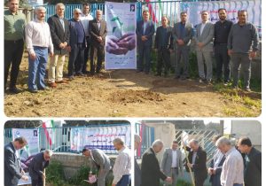 کاشت ۲۰۰ اصله نهال در آب وفاضلاب مازندران به مناسبت روز درختکاری