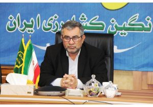 توزیع ۱۰ تن خرما در مازندران| آغاز توزیع میوه در استان