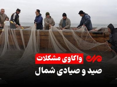 فصل ماهی چِرِم در مازندران/تورهای ماهیگیران پُر و دست ها خالی است