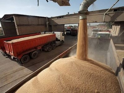 پایان خرید تضمینی گندم در مراکز خرید تعاون روستایی خراسان شمالی