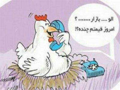 مرغ، ساز جدایی کوک کرد