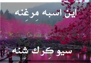 این اِسبِه مِرغِنه سیو کِرکِ شِنه