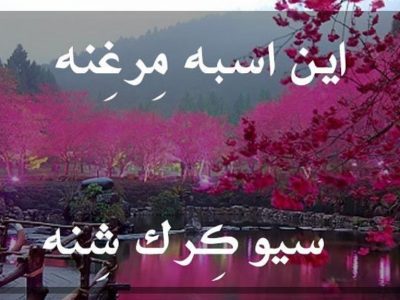 این اِسبِه مِرغِنه سیو کِرکِ شِنه