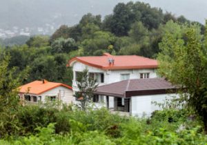 بلای خوش نشینی