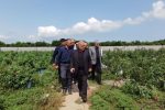 بخش‌های “رودپی” زیر ذره‌بین فرماندار ساری