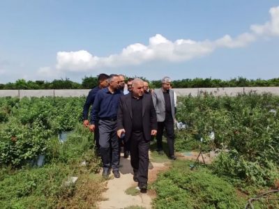 بخش‌های “رودپی” زیر ذره‌بین فرماندار ساری