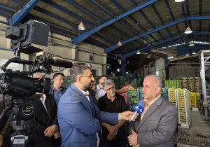 نارنگی ساری باید به یک برند تجاری تبدیل شود